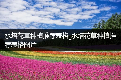 水培花草种植推荐表格_水培花草种植推荐表格图片