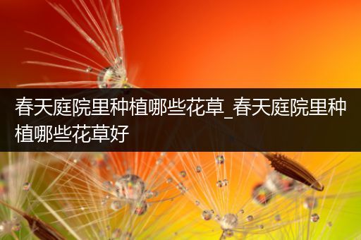 春天庭院里种植哪些花草_春天庭院里种植哪些花草好