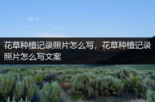 花草种植记录照片怎么写，花草种植记录照片怎么写文案