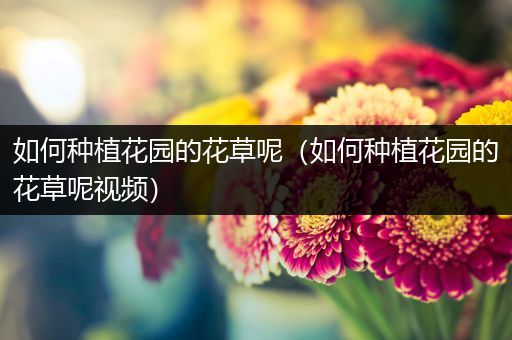 如何种植花园的花草呢（如何种植花园的花草呢视频）