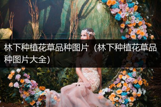林下种植花草品种图片（林下种植花草品种图片大全）