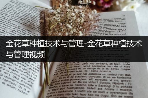 金花草种植技术与管理-金花草种植技术与管理视频