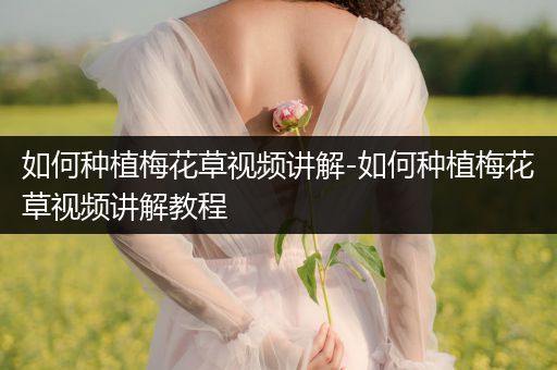 如何种植梅花草视频讲解-如何种植梅花草视频讲解教程