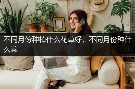 不同月份种植什么花草好，不同月份种什么菜