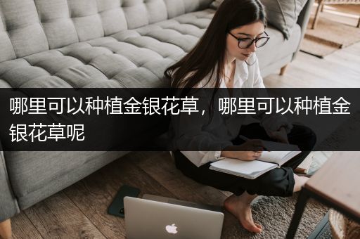 哪里可以种植金银花草，哪里可以种植金银花草呢