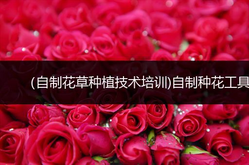（自制花草种植技术培训)自制种花工具