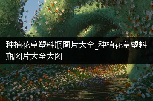 种植花草塑料瓶图片大全_种植花草塑料瓶图片大全大图