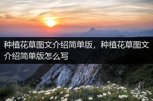 种植花草图文介绍简单版，种植花草图文介绍简单版怎么写