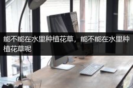 能不能在水里种植花草，能不能在水里种植花草呢