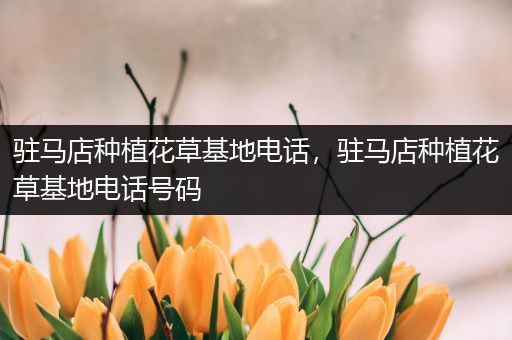 驻马店种植花草基地电话，驻马店种植花草基地电话号码