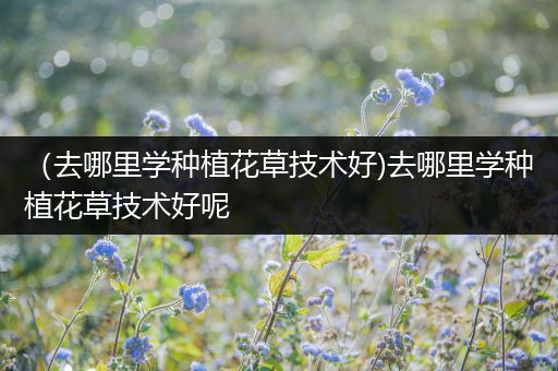 （去哪里学种植花草技术好)去哪里学种植花草技术好呢
