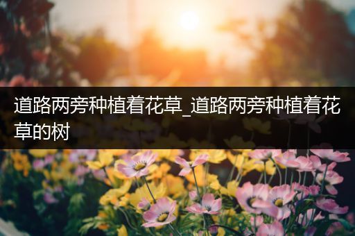 道路两旁种植着花草_道路两旁种植着花草的树