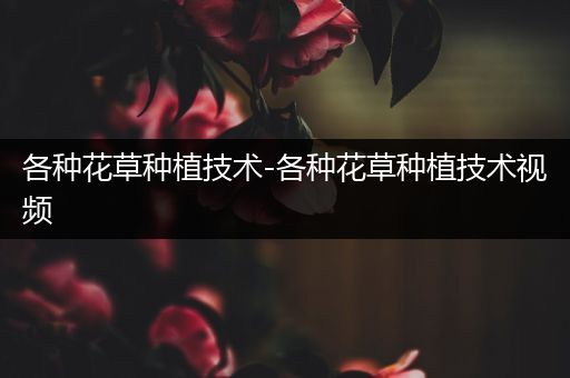 各种花草种植技术-各种花草种植技术视频