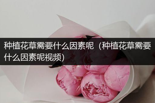 种植花草需要什么因素呢（种植花草需要什么因素呢视频）