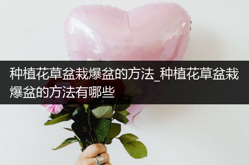 种植花草盆栽爆盆的方法_种植花草盆栽爆盆的方法有哪些