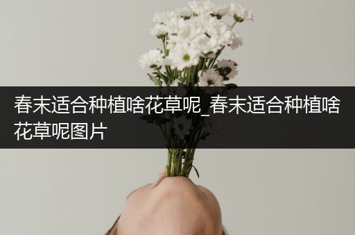 春末适合种植啥花草呢_春末适合种植啥花草呢图片