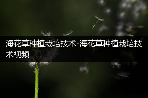 海花草种植栽培技术-海花草种植栽培技术视频