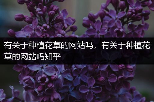 有关于种植花草的网站吗，有关于种植花草的网站吗知乎