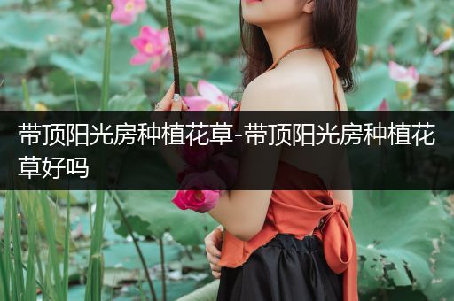 带顶阳光房种植花草-带顶阳光房种植花草好吗