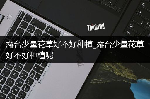 露台少量花草好不好种植_露台少量花草好不好种植呢