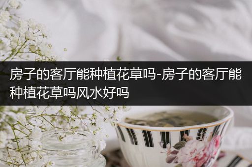 房子的客厅能种植花草吗-房子的客厅能种植花草吗风水好吗