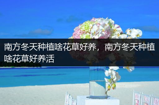 南方冬天种植啥花草好养，南方冬天种植啥花草好养活