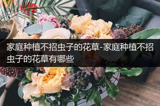 家庭种植不招虫子的花草-家庭种植不招虫子的花草有哪些