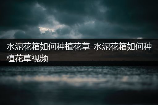 水泥花箱如何种植花草-水泥花箱如何种植花草视频