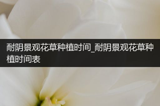 耐阴景观花草种植时间_耐阴景观花草种植时间表