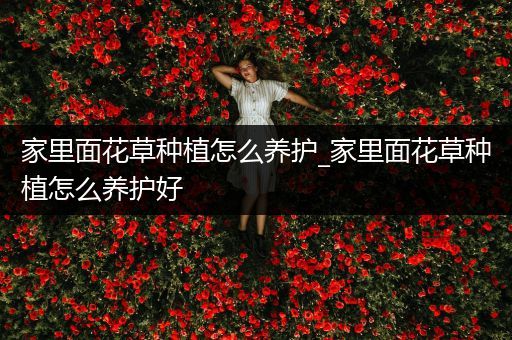 家里面花草种植怎么养护_家里面花草种植怎么养护好