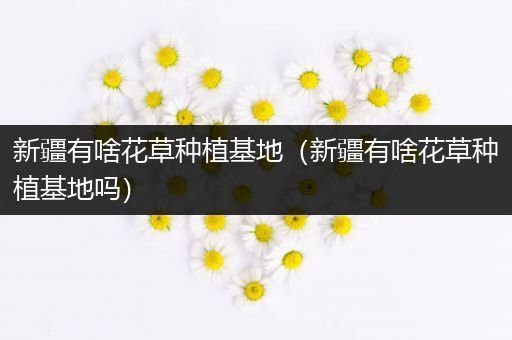 新疆有啥花草种植基地（新疆有啥花草种植基地吗）