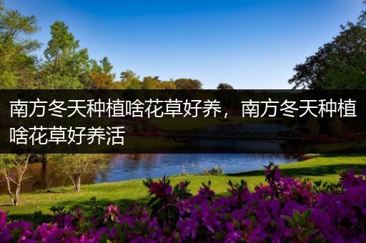 南方冬天种植啥花草好养，南方冬天种植啥花草好养活
