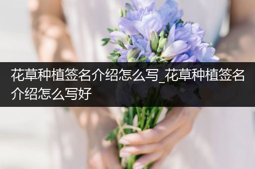 花草种植签名介绍怎么写_花草种植签名介绍怎么写好