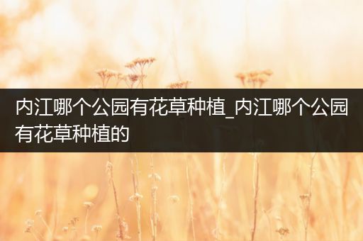 内江哪个公园有花草种植_内江哪个公园有花草种植的