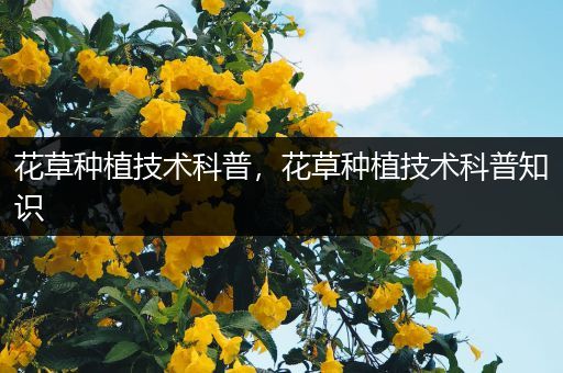 花草种植技术科普，花草种植技术科普知识