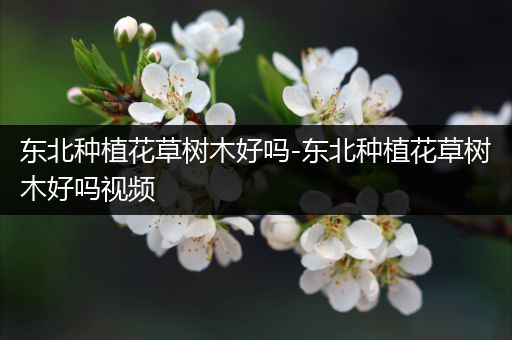 东北种植花草树木好吗-东北种植花草树木好吗视频
