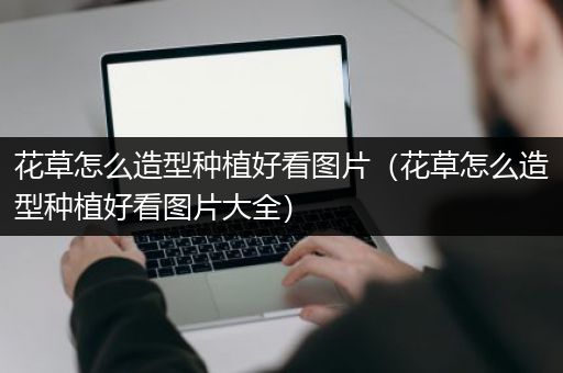 花草怎么造型种植好看图片（花草怎么造型种植好看图片大全）