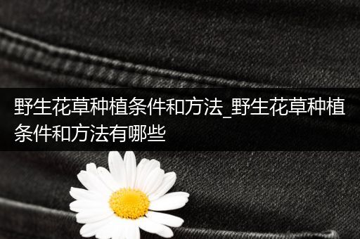 野生花草种植条件和方法_野生花草种植条件和方法有哪些