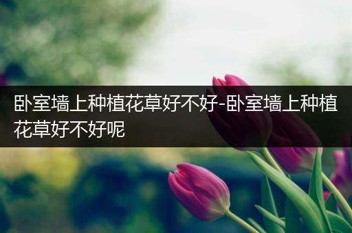 卧室墙上种植花草好不好-卧室墙上种植花草好不好呢
