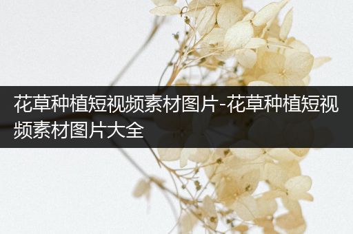 花草种植短视频素材图片-花草种植短视频素材图片大全