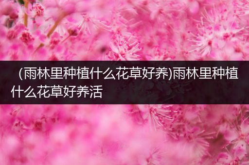 （雨林里种植什么花草好养)雨林里种植什么花草好养活