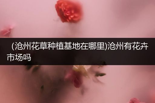（沧州花草种植基地在哪里)沧州有花卉市场吗