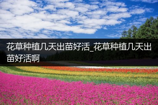 花草种植几天出苗好活_花草种植几天出苗好活啊