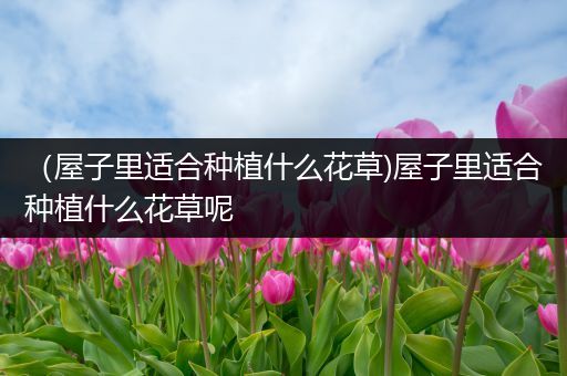 （屋子里适合种植什么花草)屋子里适合种植什么花草呢