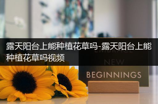 露天阳台上能种植花草吗-露天阳台上能种植花草吗视频