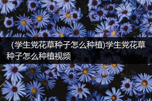 （学生党花草种子怎么种植)学生党花草种子怎么种植视频