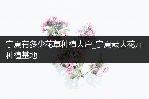 宁夏有多少花草种植大户_宁夏最大花卉种植基地