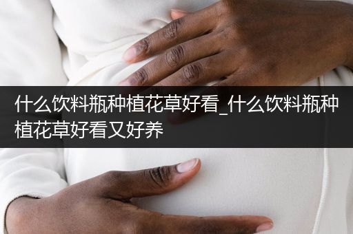 什么饮料瓶种植花草好看_什么饮料瓶种植花草好看又好养