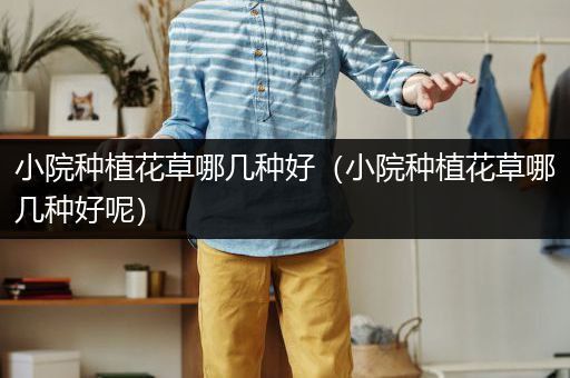 小院种植花草哪几种好（小院种植花草哪几种好呢）