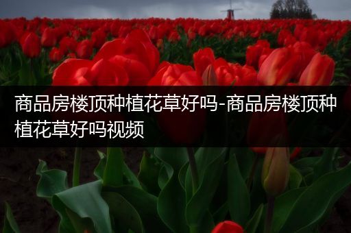 商品房楼顶种植花草好吗-商品房楼顶种植花草好吗视频